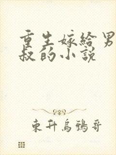 重生嫁给男主他叔的小说