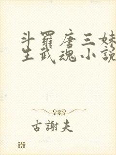 斗罗唐三妹妹双生武魂小说