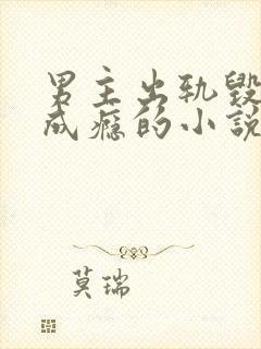 男主出轨毁三观成瘾的小说封面