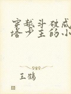 穿越斗破成为丹塔少主的小说
