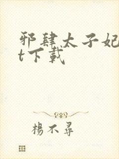 邪肆太子妃txt下载