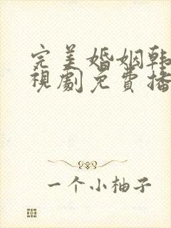 完美婚姻韩剧电视剧免费播放全集