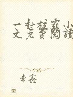 一对校霸小说全文免费阅读