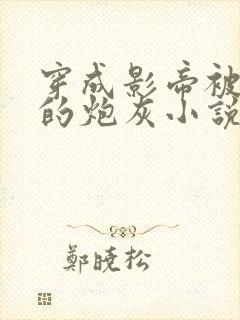 穿成影帝被抛弃的炮灰小说