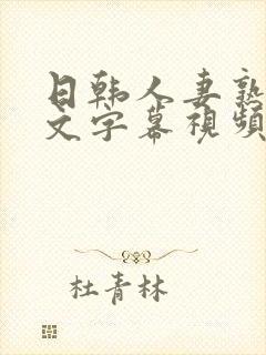 日韩人妻熟女中文字幕视频