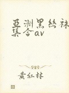 亚洲黑丝袜极品集合av