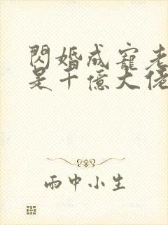 闪婚成宠老公竟是千亿大佬