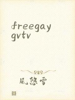 freegaygvtv封面