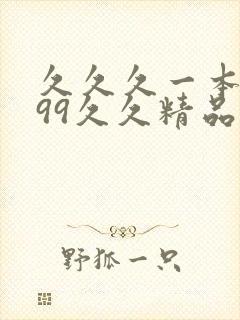 久久久一本精品99久久精品99封面