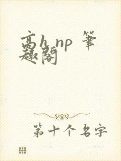 高h np 笔趣阁