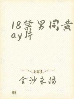 18禁男同黄gay片
