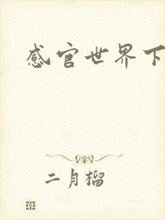 感官世界下载