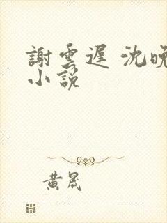 谢云迟 沈晚梨小说