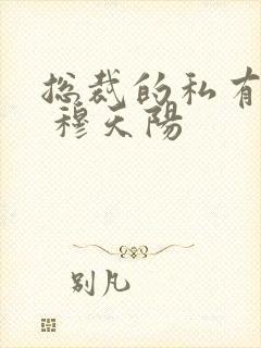 总裁的私有宝贝 穆天阳封面