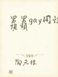 男男gay同性视频