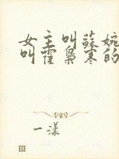 女主叫苏婉男主叫霍枭寒的小说封面