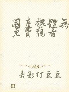 国产裸体无遮挡免费观看