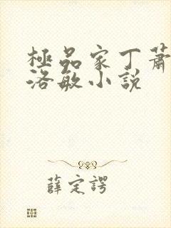 极品家丁萧夫人洛敏小说