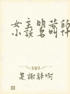 女主明若的穿越小说名叫什么封面