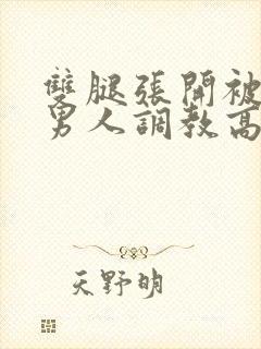 双腿张开被9个男人调教高h