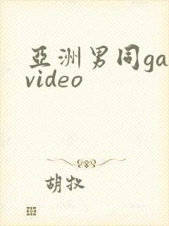 亚洲男同gayvideo