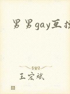 男男gay互摸