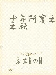 少年阿宾之多事之秋封面