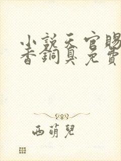 小说天官赐福墨香铜臭免费全文下载封面