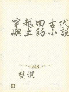 穿越回古代的岛屿上的小说封面