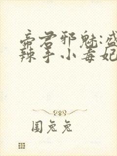 帝君邪魅:盛宠辣手小毒妃