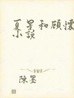 夏星和顾怀瑾的小说封面