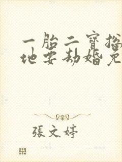 一胎二宝总裁爹地要劫婚免费阅读