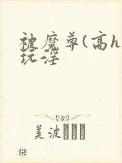 被魔尊(高h)玩淫封面