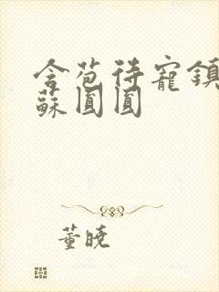 含苞待宠镇国公苏圆圆