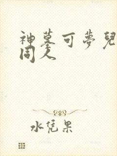 神墓可梦儿小说同人