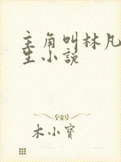 主角叫林凡的重生小说