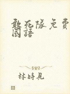 敢死队免费高清国语