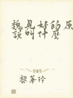 魏见好的原著小说叫什么