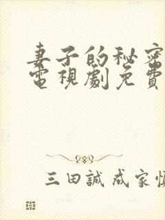 妻子的秘密韩剧电视剧免费观看