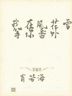 我在风花雪月里等你番外