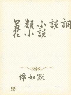 另类小说调教警花小说封面