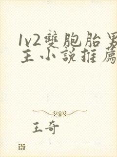 1v2双胞胎男主小说推荐