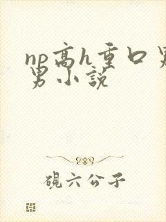 np高h重口男男小说