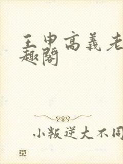 王申高义老七笔趣阁