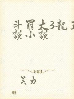 斗罗大3龙王传说小说