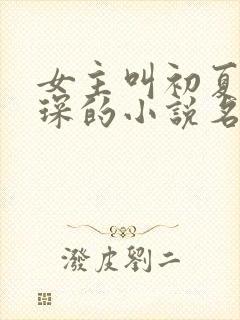 女主叫初夏顾霆琛的小说名字