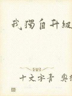 我独自升级小说