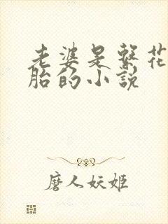 老婆是系花双胞胎的小说