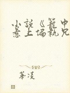 小说《笼中雀:惹上偏执兄长逃不掉》封面