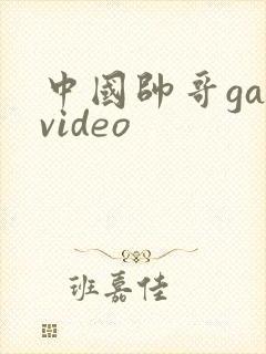 中国帅哥gayvideo
